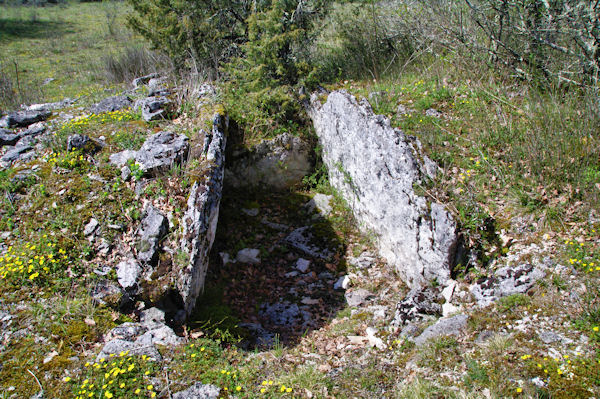 Le dolmen de Canelle