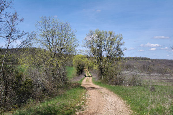Le GR46 vers Ngo-Biau