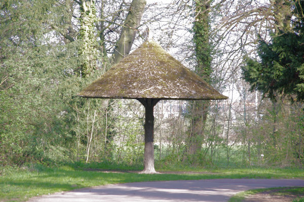 Un abri original dans le Bois de la Dele