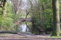 Un des laquets du Bois de Boulogne