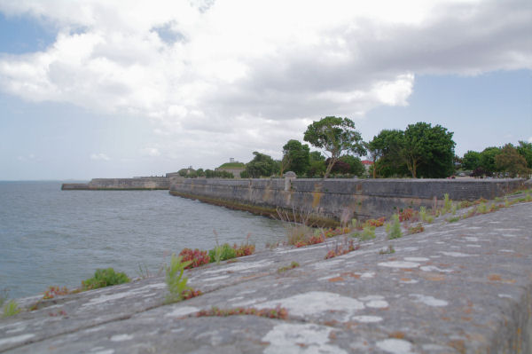 Les remparts de St Martin de R