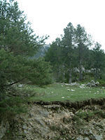 Le Mont Ventoux depuis le Contrat