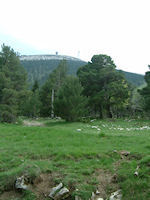 Le Mont Ventoux depuis la Loubatiere