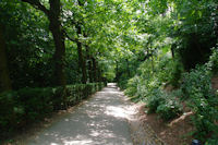 En descendant vers le Jardin des Hortensias