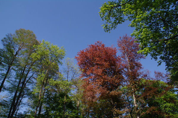 Couleur dans le Parc de la Tte d_Or