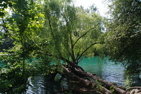 Le lac du Parc de la Tte d_Or