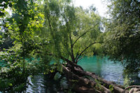 Le lac du Parc de la Tete d'Or