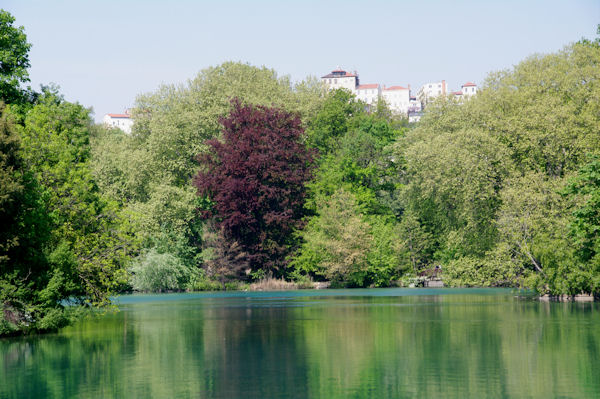Le lac du Parc de la Tte d_Or