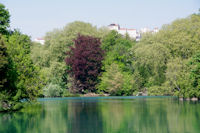 Le lac du Parc de la Tete d'Or