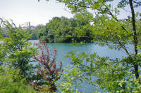 Le lac du Parc de la Tete d'Or