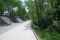 Les bords du Rhone