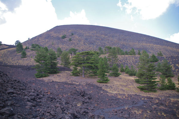 Le Monte Nero