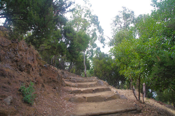 Des escaliers pour monter les rudes pentes du Monte Fossa delle Felci