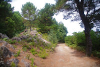 En montant au Monte Fossa delle Felci