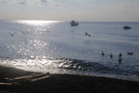 La plage de Pizzillo a Stromboli