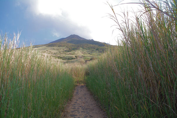 En montant au Stromboli dans la vgtation