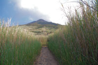 En montant au Stromboli dans la vgtation